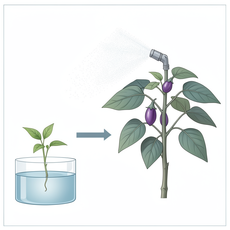 AI-generated conceptual illustration (brinjal plants). It explains the idea and does not show study data.