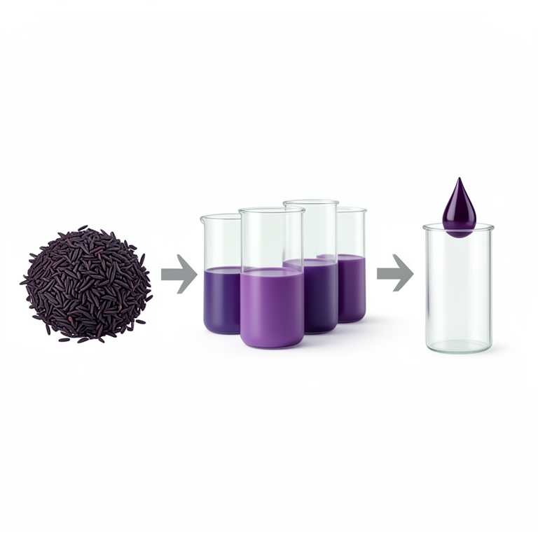 AI-generated conceptual illustration (black rice bran). It explains the idea and does not show study data.
