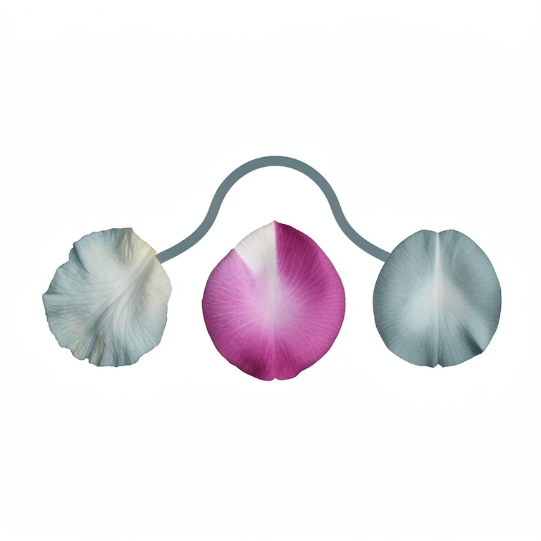 AI-generated conceptual illustration (rose petals). It explains the idea and does not show study data.