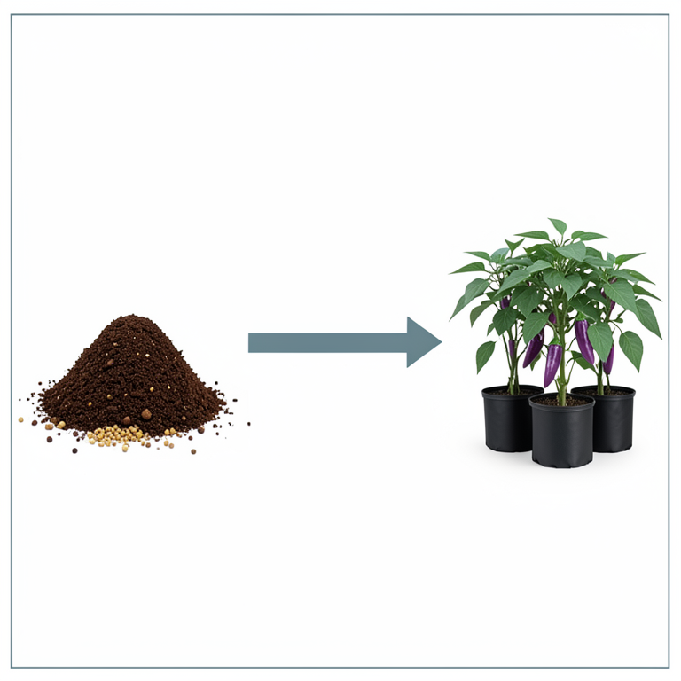 AI-generated conceptual illustration (Brinjal plants in grow bags on a rooftop terrace). It explains the idea and does not show study data.