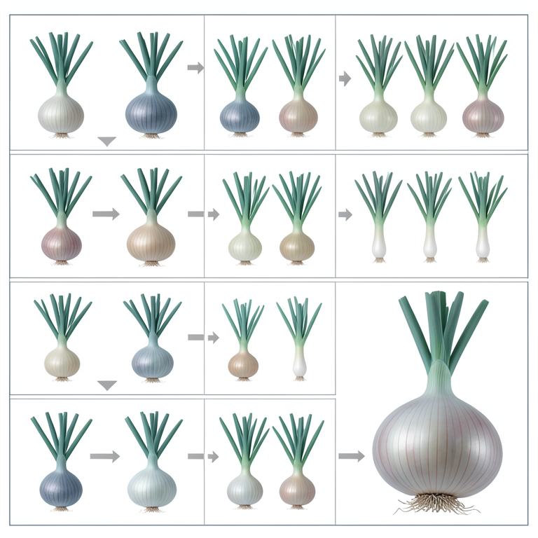 AI-generated conceptual illustration (Onion plants (Allium cepa L.)). It explains the idea and does not show study data.
