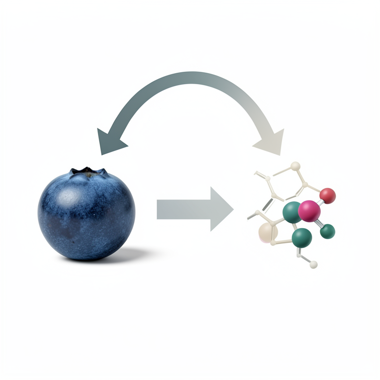 AI-generated conceptual illustration (Blueberry anthocyanin molecules and whole blueberries). It explains the idea and does not show study data.