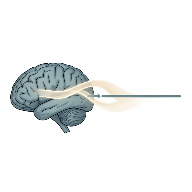 AI-generated conceptual illustration (a human brain and a mathematical number line). It explains the idea and does not show study data.