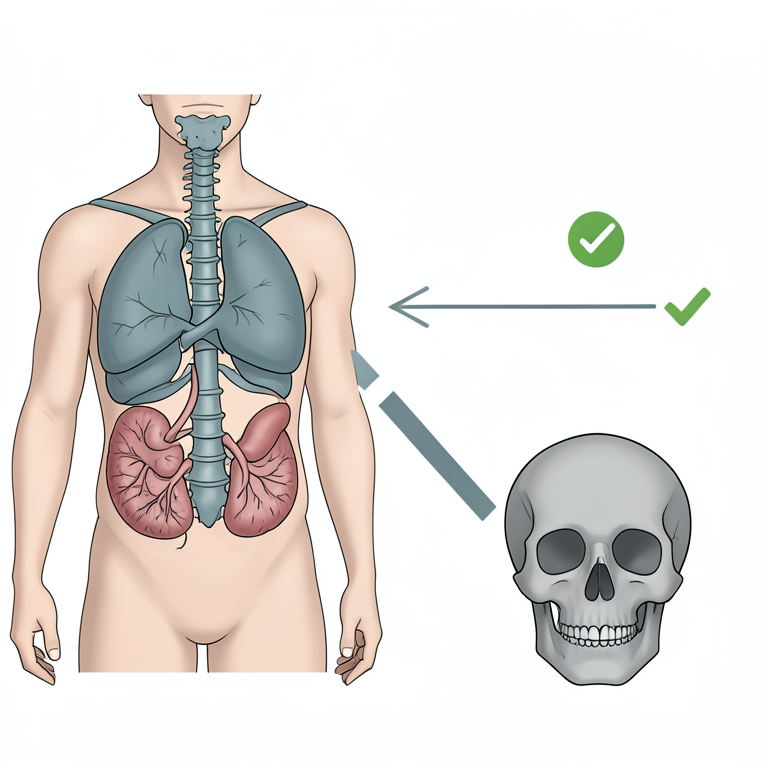AI-generated conceptual illustration (human organs affected by extrapulmonary tuberculosis). It explains the idea and does not show study data.